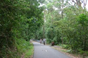 Typical scenery on the trail (2009)