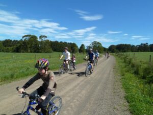 Detour on road from Ditchley to Dinmont (2011)