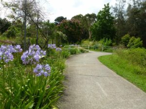 Some gardens on the trail (2013)