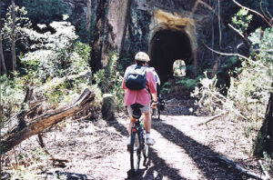 Tunnel on the Box Vale tramway track