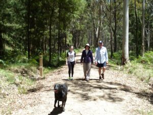 Trail, about 2km west of Trentham. (2013)