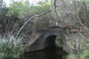 One of the old railway culverts along Wilsons Inlet(2006)
