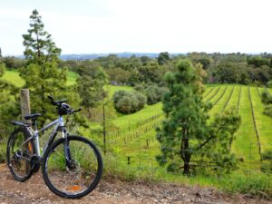 View from the rail trail near Angaston (2020)
