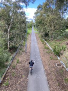Rider emerges in Princes Park from Royal Pde underpass [2023]