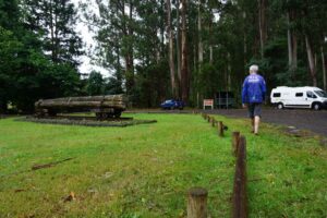 Powelltown Tramway trailhead on the western side of town [2024]