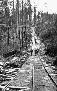 Bushwalkers heading up the High Lead incline, with the passing loop just ahead of the leader [Frank Hosking, courtesy LRRSA]