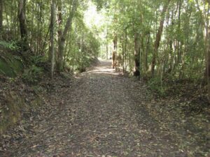 Section of the Buderim Tramway heritage trail