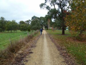 Between Forrest and the Barwon River. (2011)
