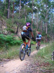 Mountain bikers enjoying the Wamuran section (2006)