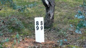 The volunteer Friends of the Rail Trail have made and installed replica mile posts (distance from Melbourne) along the trail (2011)