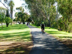 Renmark river frontage trail 2020