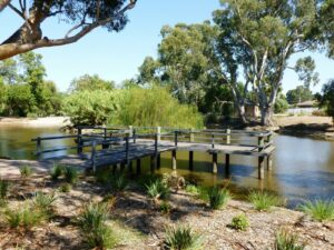 Davidson Reserve pond with pump house in the Background 2020