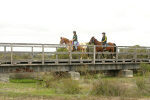 Horses on Cowcher bridge [2006]