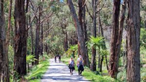 The beautiful scenery between Mt Evelyn and Wandin [2021]