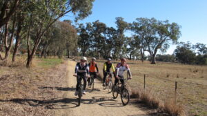 Riding between Wangaratta and Oxley (2011)