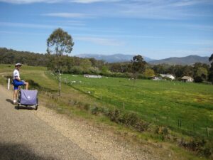 First views of Mt Buffalo near Gapsted [2008]