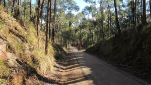 Climbing up to Beechworth from Everton [2011]