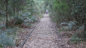In the Limestone Creek area there are still rails and sleepers in place [Andrew Lecky 2019]