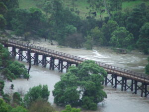 Curdies River in flood.The river rose over 6 metres and was of great interest to the community who came in droves to walk across the bridge to see the all that water. It was the only way anyone could get across as all the road bridges were under water..  The bridge has been built at the confluence of the Curdies River with Limestone Creek and Power Creek and has withstood floods over the 120 years since it was built. [Thais Hardmann 2010]