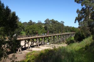The Timboon Trestle Bridge over Curdies River is a real feature [2010]