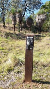 There are about 160 of these kilometre posts for users to count (2019)