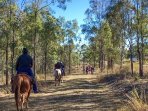 Horses riders and walkers enjoying the trail between Ottaba and Toogoolawah [2020 Karen Davidson]