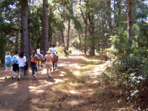 The rail trail is also popular with horse riders [2007]