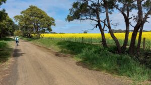 Spring on the trail at Mannerim and the colourful canola crops [2020 Reg Quelch]