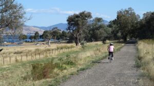 Summer on Lake Hume at Ludlows Reserver (2013)