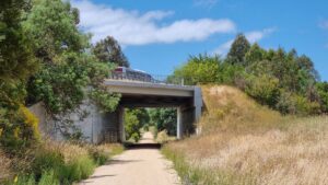 A Yarram-bound V/Line bus goes over the rail trail on the way to Korumburra [2022]