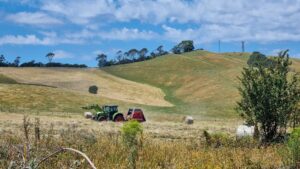 Mid-summer hay making beside the rail trail [2022]