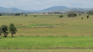 Typical scenery at Veresdale nearing Beaudesert [2012]