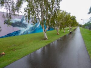 Whale mural at Pialba [2022]