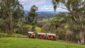 View from the Kerrisdale Mountain Railway between Trawool and Homewood with the rail trail down in the valley in the background [2022]