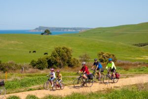Lush countryside and views of the Nobbies on Phillip Island between Anderson and Kilcunda