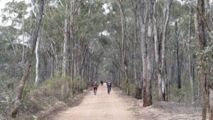 Forest scenery approaching Heathcote (2015)