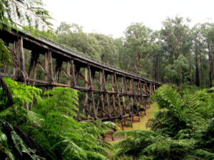 The magnificent Noojee bridge [2008]