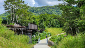 One of several large bridges at Upper Burringbar that have a low level crossing to allow their true size to be appreciated [2023]