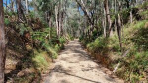 A section of the rail trail from the roundabout to Yackandandah is on the original formation [2022]