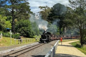 Puffing Billy at Clematis station [2023]