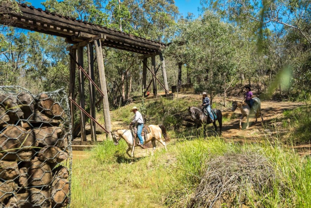 News from the Brisbane Valley Rail Trail