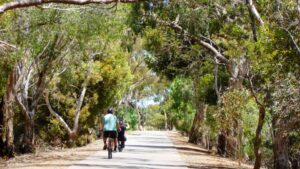 the vegetation on the side of the trail offers cyclists good protection from the elements - Feb 24