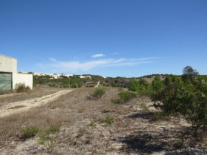 BHP tramway terminus sheds with encroaching sand hills in the background March 23