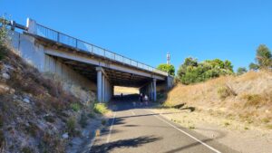 After crossing over the Southern Expressway the trail passes under the Reynella Bypass Road [2024]