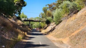 Significant cutting at Morphett Vale [2024]