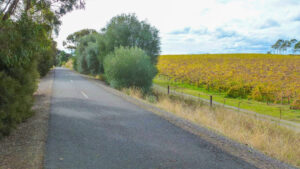 Vineyards between McLaren Vale and Willunga [2014]