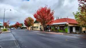 Woodside is the largest town on the present rail trail and has numerous places to eat [2024]