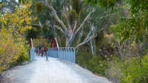 The refurbished and wider Quarry Rd bridge between Sevenhill and Clare is a landmark [2024]