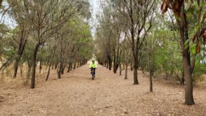 The current start of the rail trail at Balkins Rd a few kilometres out of Hamilton [2024]