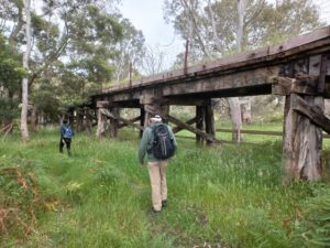 The long timber bridge over the Wannon River at Wannon will not be restored for trail users but hopefully it can be preserved [2024]